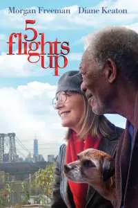 wpid-5-flights-up-223.jpg