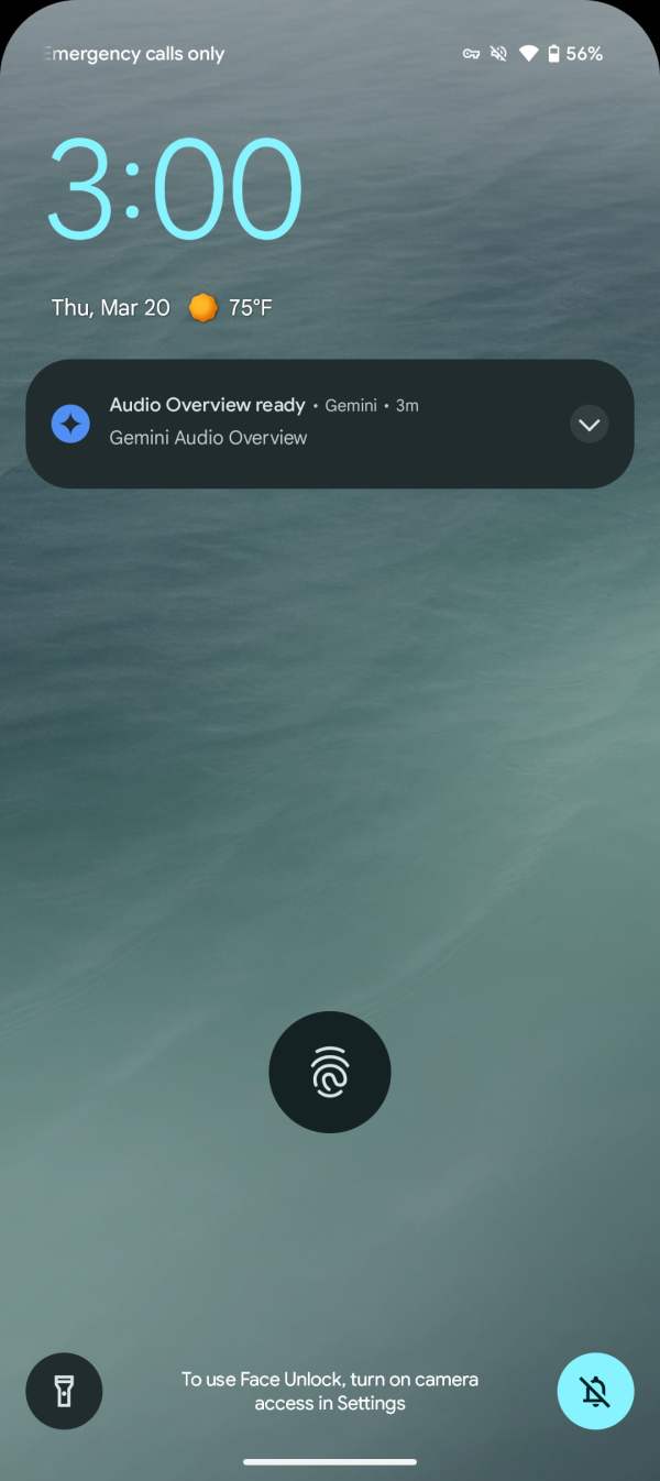Gemini Audio Overviews