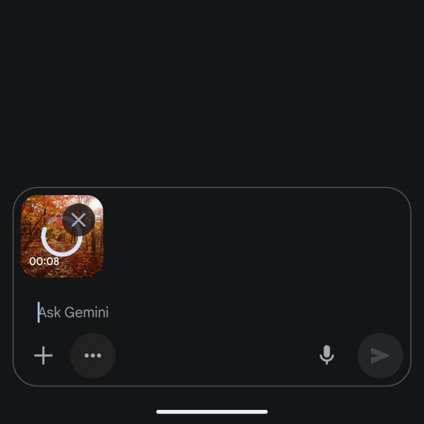 Gemini video upload
