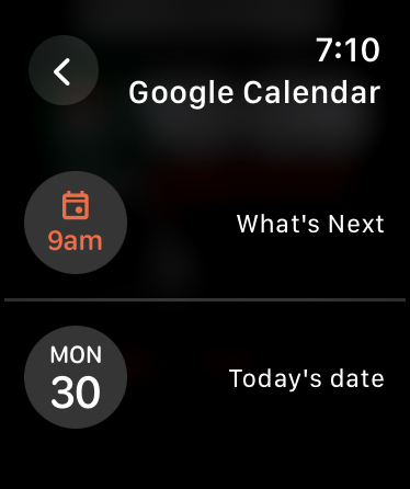 Google Calendar Apple Watch