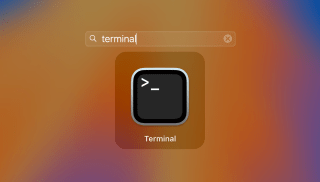 terminal app security bite