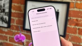 iphone security privacy wired accessories -arin security bite