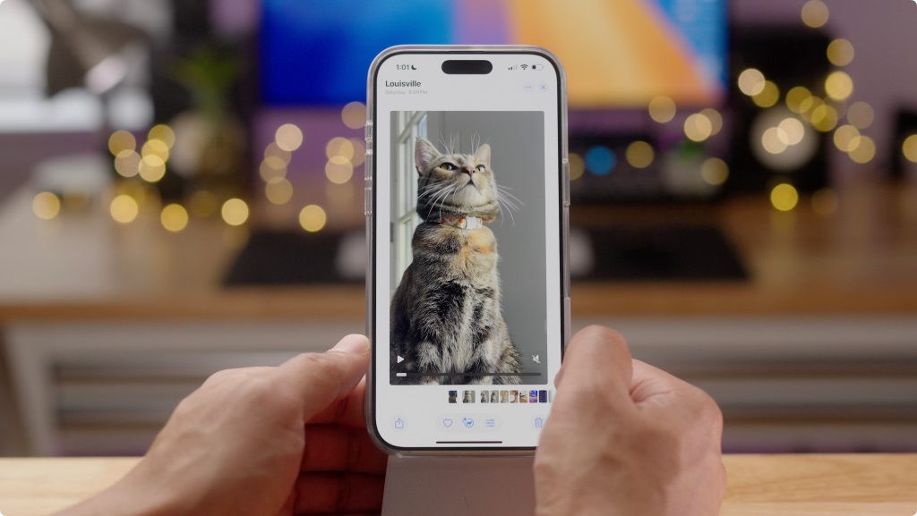 Video looping disabled iOS 18.2 beta 2 Photos