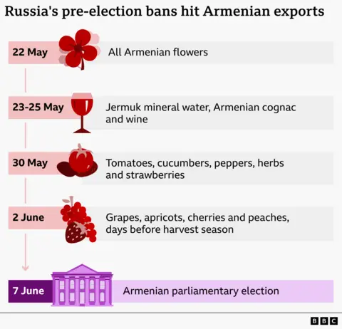 Infographic timeline titled “Russia's pre-election bans hit Armenian exports.” It shows a sequence of export restrictions: on 22 May, all Armenian flowers; from 23–25 May, Jermuk mineral water, Armenian cognac, and wine; on 30 May, tomatoes, cucumbers, peppers, herbs, and strawberries; and on 2 June, grapes, apricots, cherries, and peaches, noted as days before harvest season. At the bottom, 7 June is marked as the date of the Armenian parliamentary election. Icons of a flower, wine glass, vegetables, and fruit illustrate each stage.