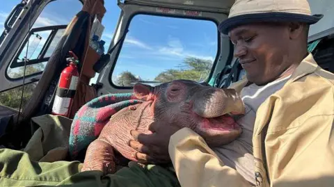 Sheldrick Wildlife Trust A man inside a helicopter holds on his lap a baby hippo with its mouth open 
