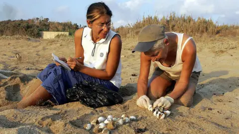 AFP via Getty Images Mona Khalil and another woman, identified only as Habiba, collect turtle eggs and baby marine turtles in August 2004. Khalil is kneeling on the sand and wearing white gloves, while Habiba sits next to her, taking notes. 