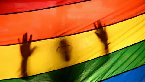 AFP via Getty Images An outline of a man is seen behind a rainbow LGBTQ+ flag at a march. Stock photo from library, not taken in Senegal. 