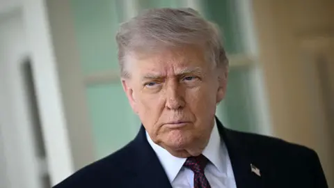 Getty Images A picture of US President Donald Trump wearing a white shirt, navy suit and blue and red spotted tie.
