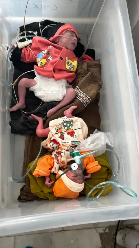 Imogen Anderson/BBC Two babies can be seen in a cot wired up to oxygen