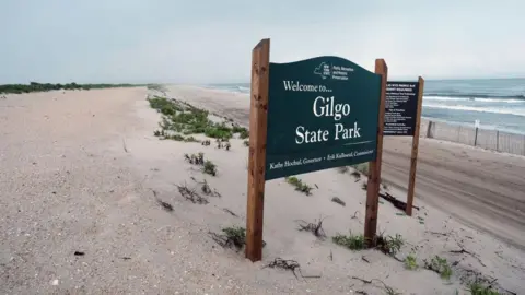 Getty Images A forest-green sign on a desolate beach reads: Welcome to Gilgo State Park