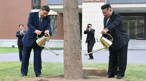 Xinhua Xi Jinping and Kim Jong Un (R) watering a tree 