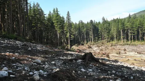 Photo by Cyrus Read/U.S. Geological Survey. The picture shows a large area of bare earth, rocks and mud with groups of uprooted trees in the background set before a thick forest topped by blue sky.