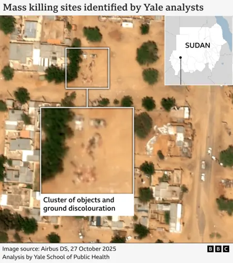 A graphic showing the location of what Yale identified as clusters of dead bodies.
