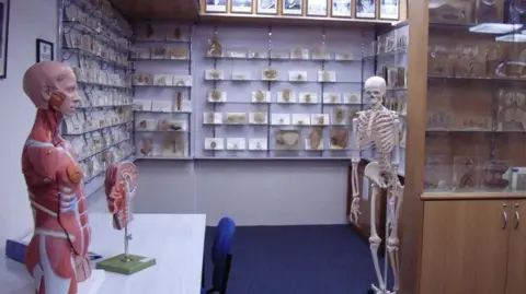 University of Tasmania A room with a display skeleton and organ model with shelves filled with human specimens