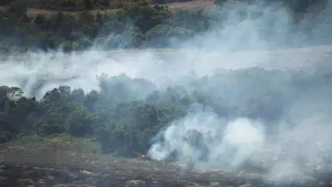 Reuters Smoke rising from an area of forest as a fire burns. Some of the forest has already been lost, with bare patches of land mixed in with green trees.