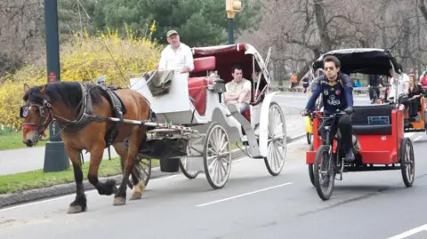 A white carriage carrying a passenger and driver is drawn by a horse in Central park, with a small two-seater bicycle carriage being ridden alongside it