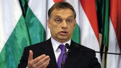 AFP A man in a dark jacket stands in front of Hungarian flags