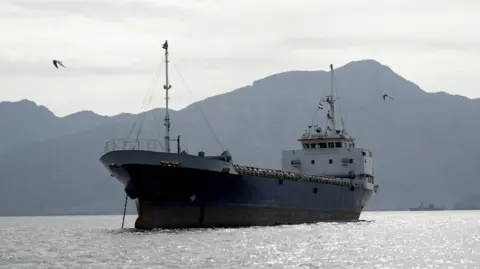 Reuters Some birds fly past a large vessel at the Strait of Hormuz, off the coast of Oman’s Musandam province, on 12 April