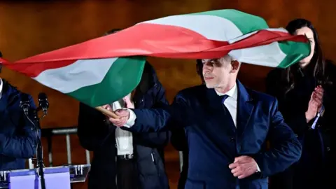 Reuters A man in a suit waves a red, white and green flag