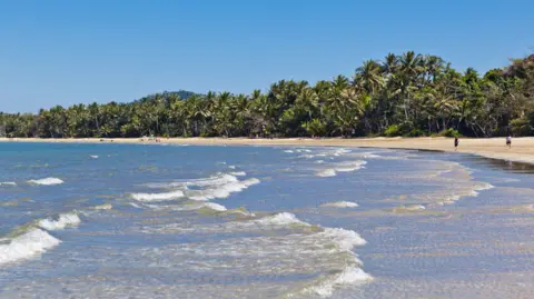 Getty Images File photo showing a beach and treeline along the Cassowary Coast.