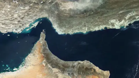 Getty Images A satellite view of the Strait of Hormuz, with a thin stream of dark blue water flowing around a sharp point of arid land jutting into it.