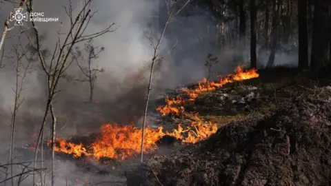 Ukraine emergency services Flames burning on the ground in a forested area