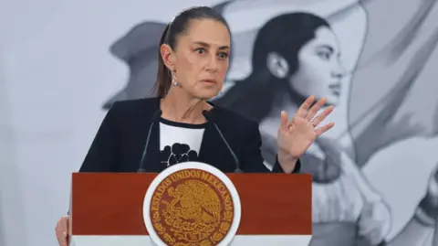 Getty Images Claudia Sheinbaum, President of Mexico, speaks at a lectern during a news conference at the National Palace in Mexico City, Mexico