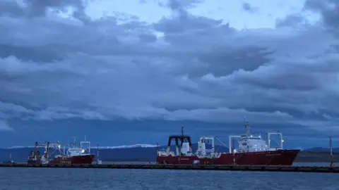 Matías Zibell / BBC News Mundo Two ships are docked in the port with their lights on. It's dusk. In the backdrop are snowcapped mountains. 