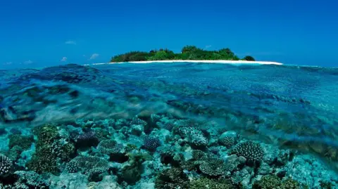 Getty Images Corals near one of the Maldives' islands. File photo