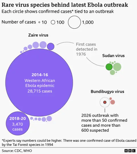 Bubble chart titled “Rare virus species behind latest Ebola outbreak,” where circle size represents confirmed cases. A very large purple circle shows the 2014–16 West African epidemic with 28,715 cases, far exceeding others, alongside a smaller 2018–20 outbreak with 3,470 cases. Smaller clusters represent Zaire, Sudan, and Bundibugyo virus outbreaks; Sudan shows moderate case circles, while Bundibugyo includes a highlighted 2026 outbreak with over 50 confirmed and more than 600 suspected cases. A note states Ebola was first detected in 1976 and that case numbers may be underestimates. Source: CDC, WHO.