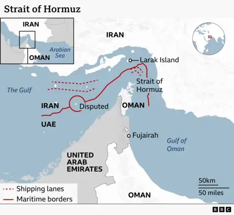 The Strait of Hormuz, a narrow shipping route in the Gulf region, is one of the world's most important shipping routes. Bounded to the north by Iran and to the south by Oman and the United Arab Emirates (UAE), the Strait of Hormuz connects the Gulf with the Arabian Sea.
The strait is deep enough for the world's biggest crude oil tankers, and is used by the major oil and gas producers in the Middle East - and their customers.