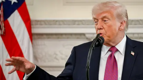 DANIEL HEUER/POOL/EPA/Shutterstock Donald Trump stands in the White House dining room with a white wall with carvings behind him and part of an American flag. He is seen from the waist up speaking, turned to his right and his gesturing. He is wearing a blue blazer and a white shirt and pink patterned tie. 
