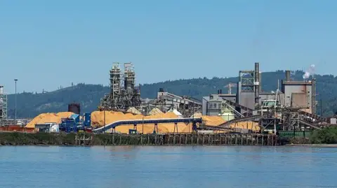 Getty Images A paper plant in Longview, Washington, seen from the water