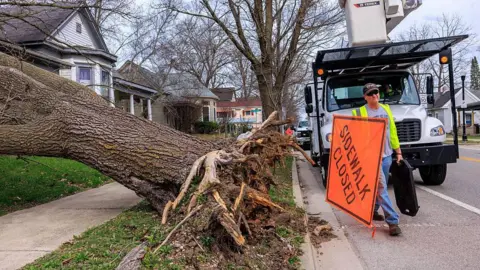Getty Images Fierce winds blew down a tree in Bloomington, Indiana