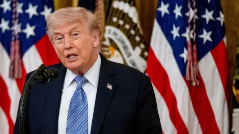 Getty Images US President Donald Trump during a small business summit in the East Room of the White House in Washington at a microphone backed by American flags.