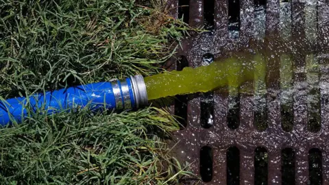 Getty Images Green water is being pumped out, through a hose, and into a drain