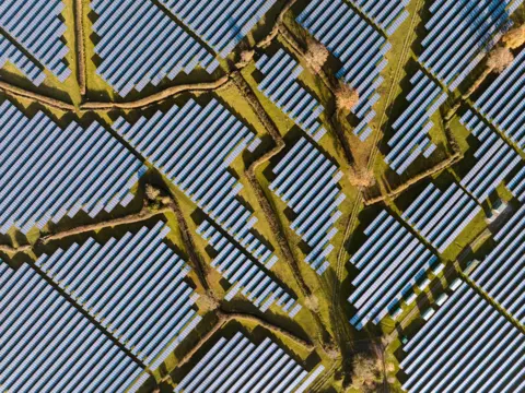 Francesco Russo / Wildlife Photographer of the Year An overhead shot shows rows of solar panels arranged in geometric patterns, intersected by narrow paths or channels. The repeating shapes create a textured, grid-like landscape.