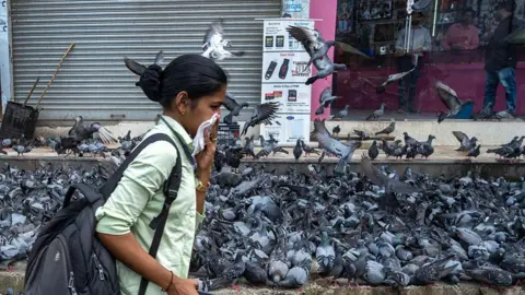 Hindustan Times via Getty Images Brihanmumbai Municipal Corporation (BMC) covered the Dadar Kabutarkhana with large plastic sheets following a Bombay High Court directive banning pigeon feeding at designated spots across, on August 3, 2025 in Mumbai, India.