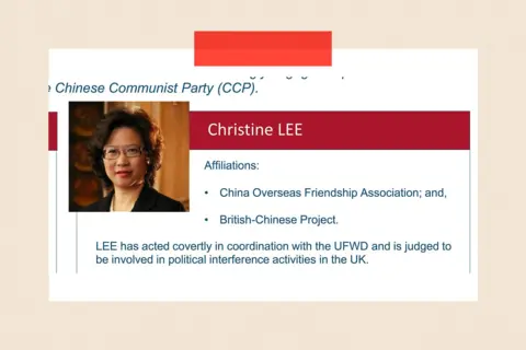 PA A screengrab from a website showing Christine Lee