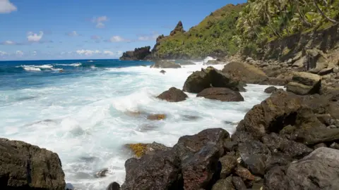 Michael Dunning / Getty Images Pitcairn Island's coastline. File photo