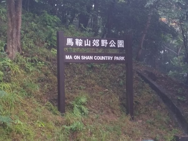 見下文