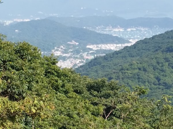 見下文