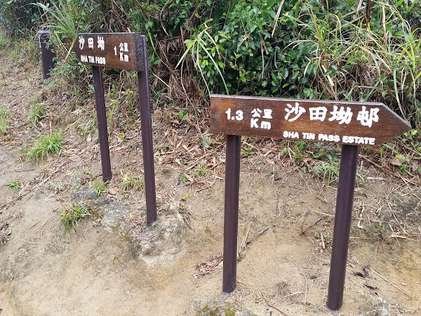 見下文