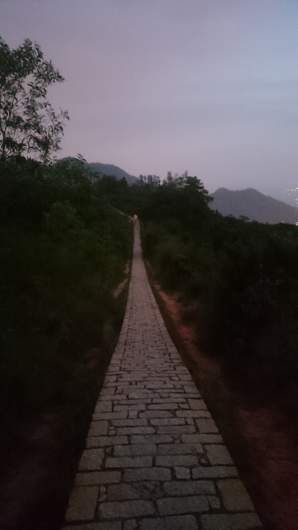 見下文