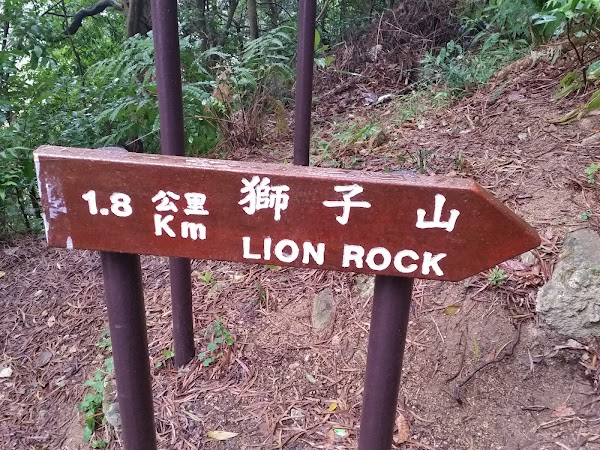 見下文