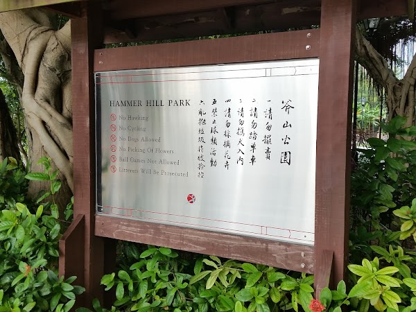 見下文