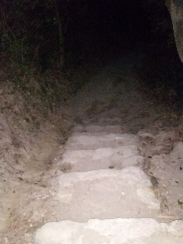 見下文
