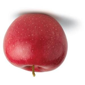 apple2.jpg