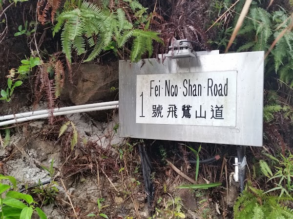 見下文