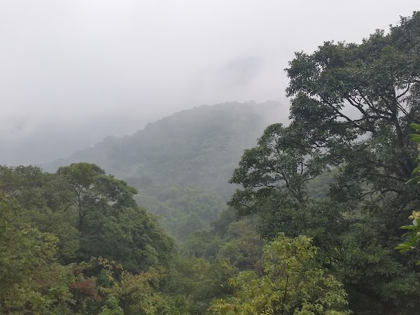 見下文